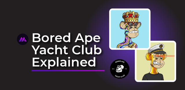 De Bored Ape Yacht Club | Een opmerkelijke NFT