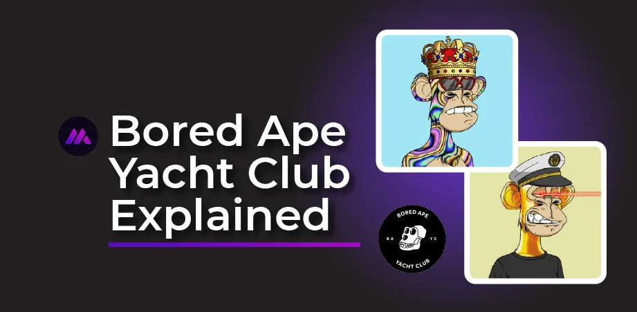 The Bored Ape Yacht Club (BAYC), A Remarkable NFT