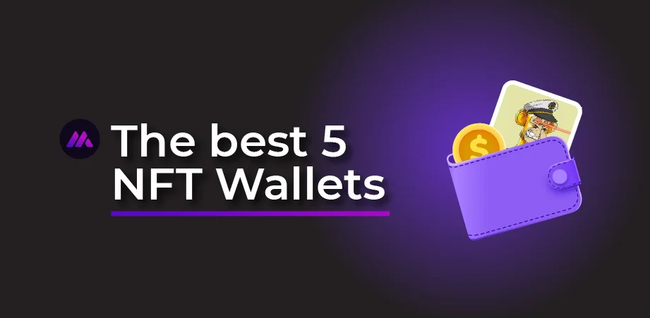 Exploring the 5 Best NFT Wallets!