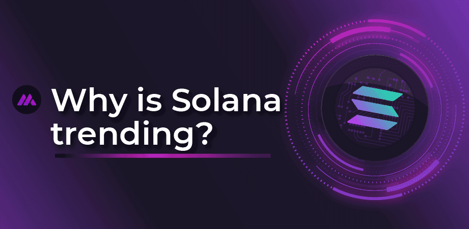 Waarom Solana beter presteert dan Ethereum in Crypto World