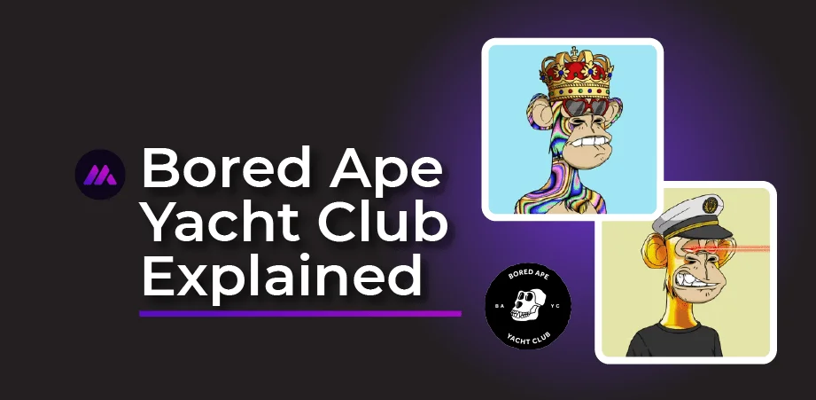 The Bored Ape Yacht Club (BAYC) – A Remarkable NFT