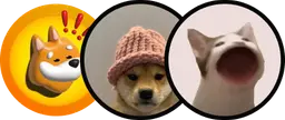 solana-meme-coin